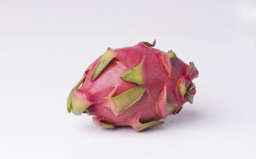FRUIT_100